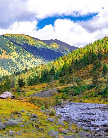 The nationally recognized most beautiful gingko forest, ten times more beautiful than Botahtang, must not be missed.