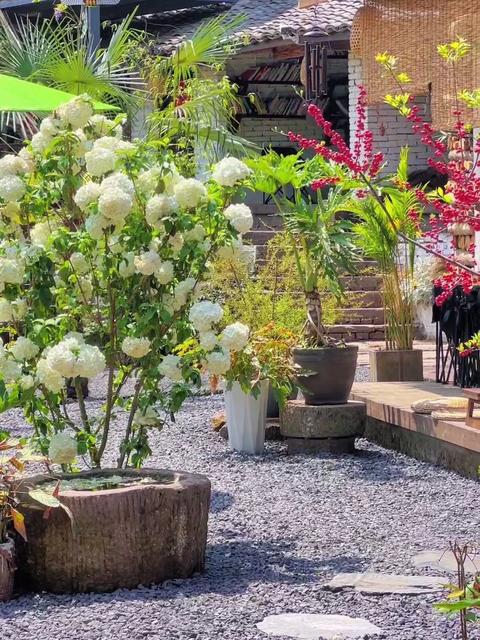 Give up the city life, return to the country to turn the old house into a courtyard