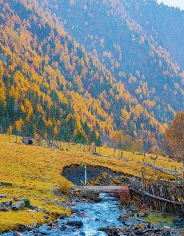 The nationally recognized most beautiful gingko forest, ten times more beautiful than Botahtang, must not be missed.